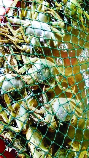 �������ش��lз�ѓ������� ���^С�r���ϝq